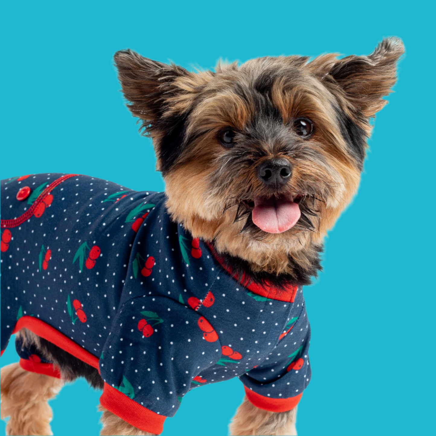 🍒 Cherry Fruit Dog Pajamas – Soft & Cozy Velcro Onesie for Pets 🐶