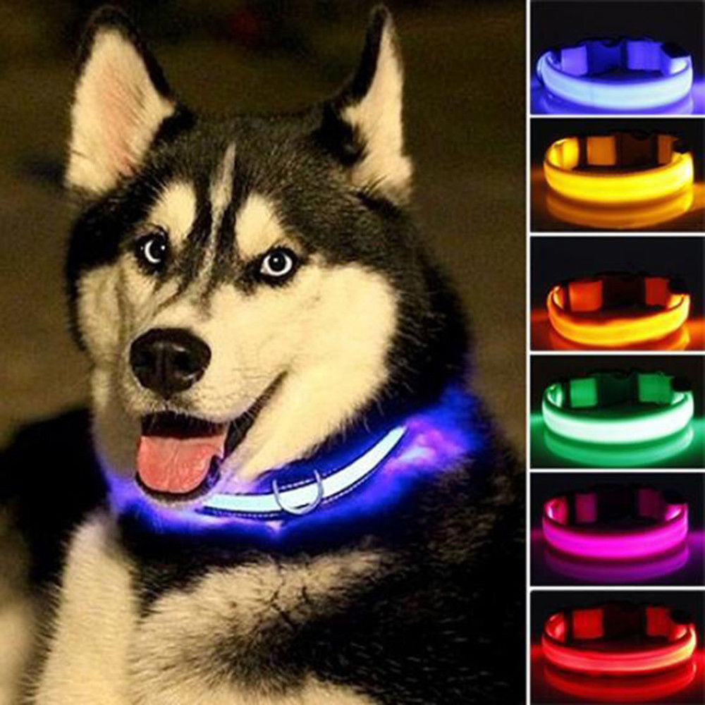 🐾 2 PCS Set Nylon LED Dog Collar – Bright, Durable & Safe for Night Walks 🌟