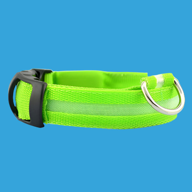 🐾 2 PCS Set Nylon LED Dog Collar – Bright, Durable & Safe for Night Walks 🌟