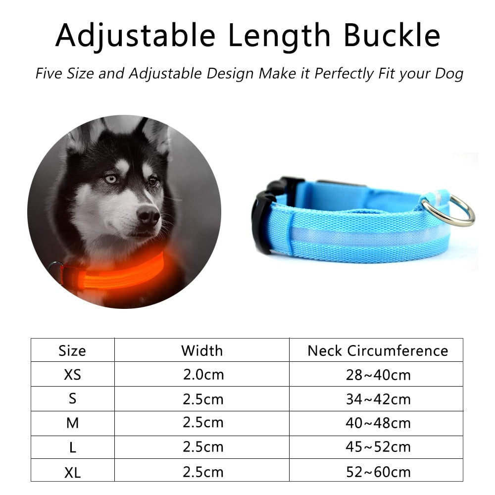 🐾 2 PCS Set Nylon LED Dog Collar – Bright, Durable & Safe for Night Walks 🌟